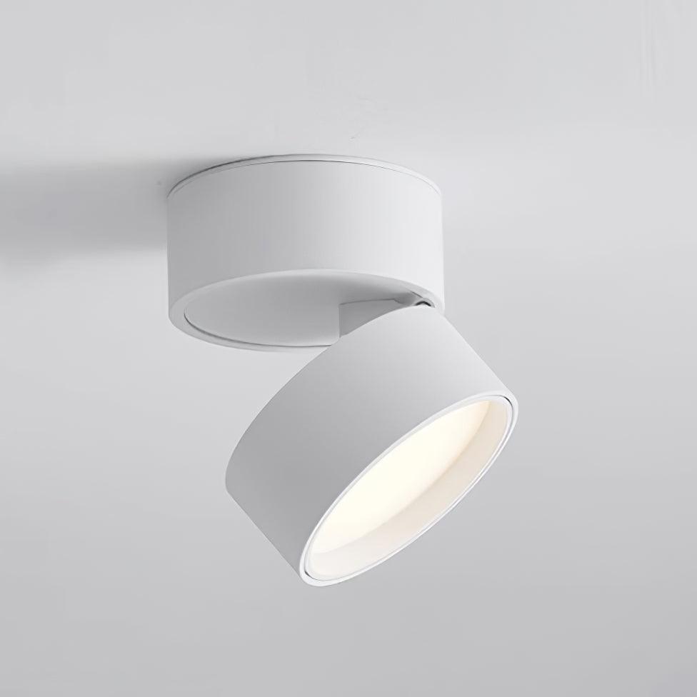 Savvina Surface Ceiling Light