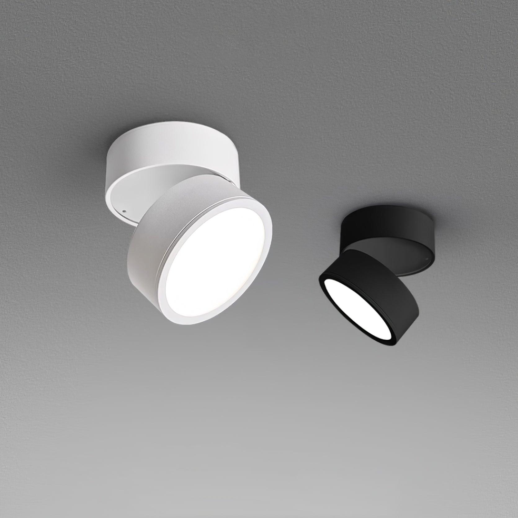 Savvina Surface Ceiling Light