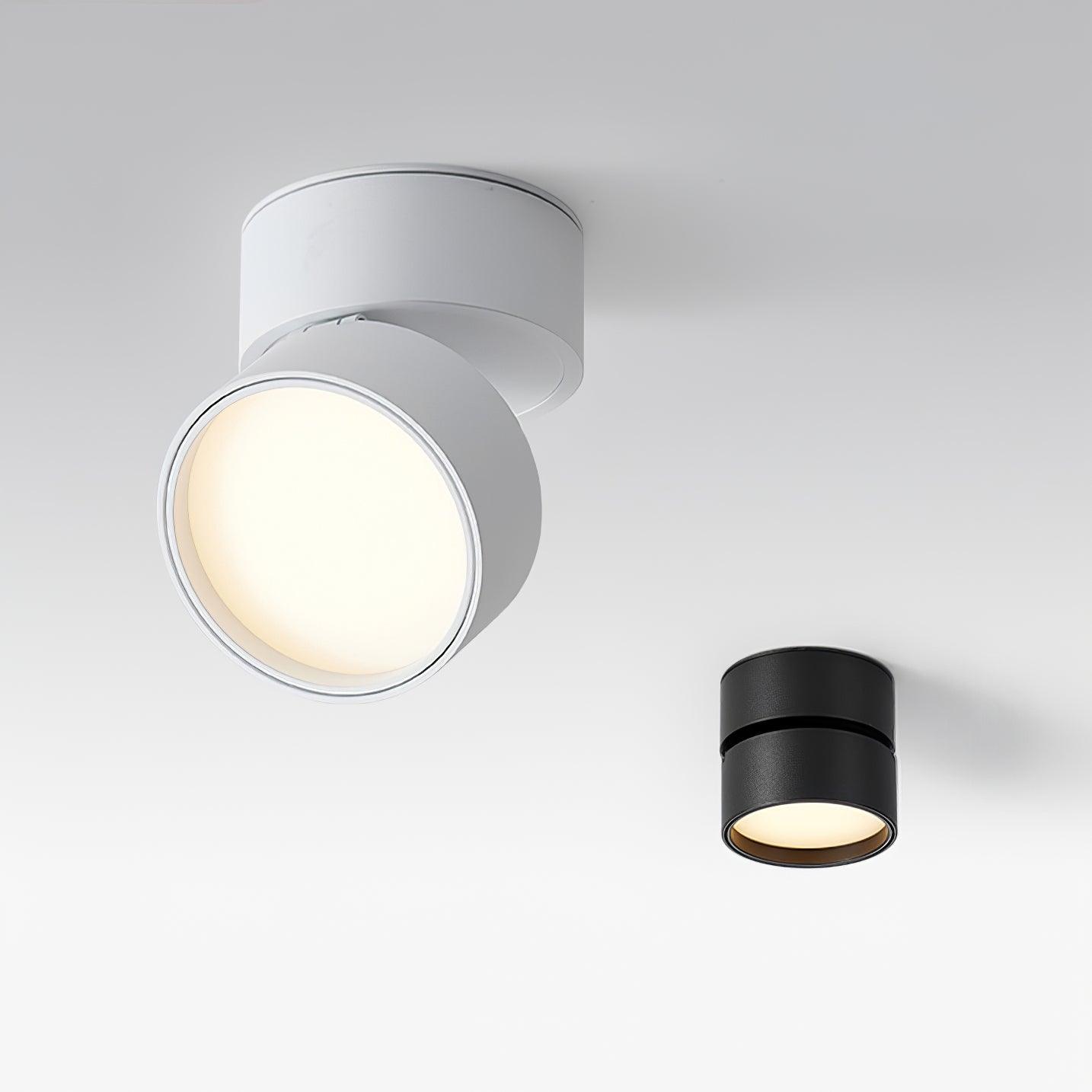 Savvina Surface Ceiling Light