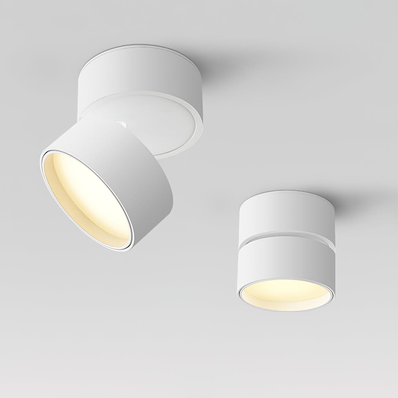 Savvina Surface Ceiling Light